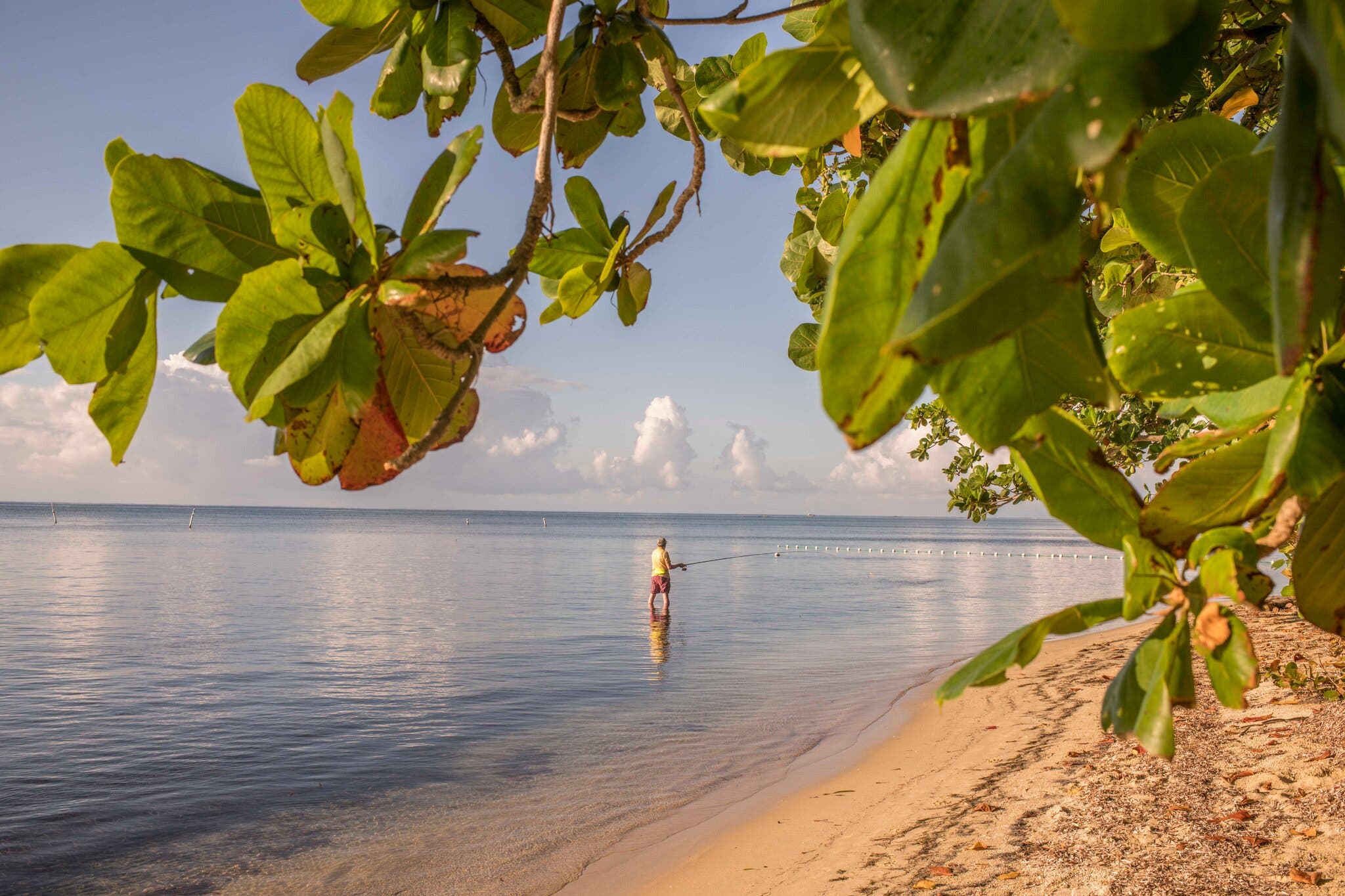 The New York Times destacó los encantos de Roatán