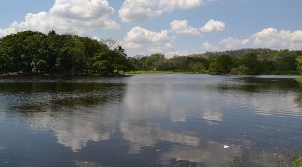 Inician trabajos de limpieza en la laguna de Ticamaya en Choloma