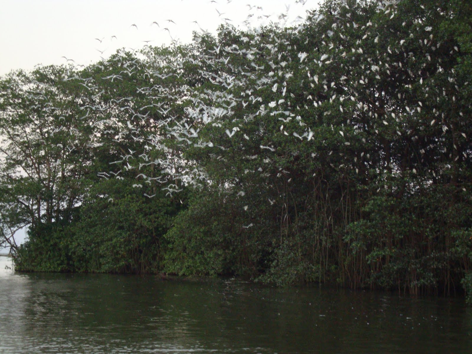 laguna-de-bacalar-el-quinto-sitio-ramsar-de-honduras