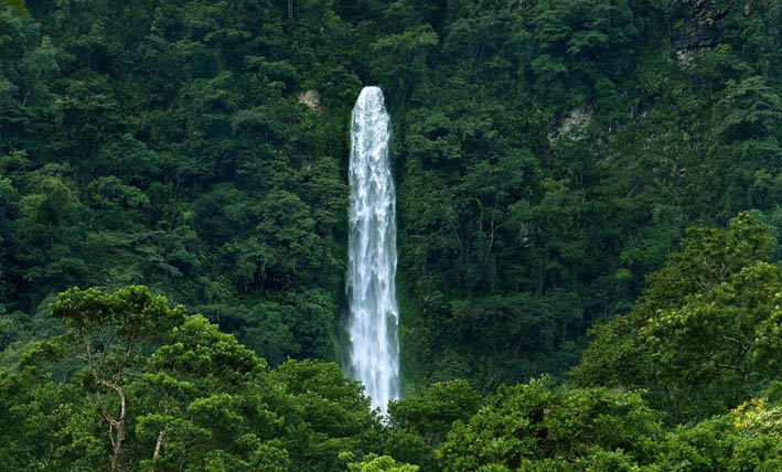 El Bejuco, la cascada oculta por el bosque tropical de La Ceiba