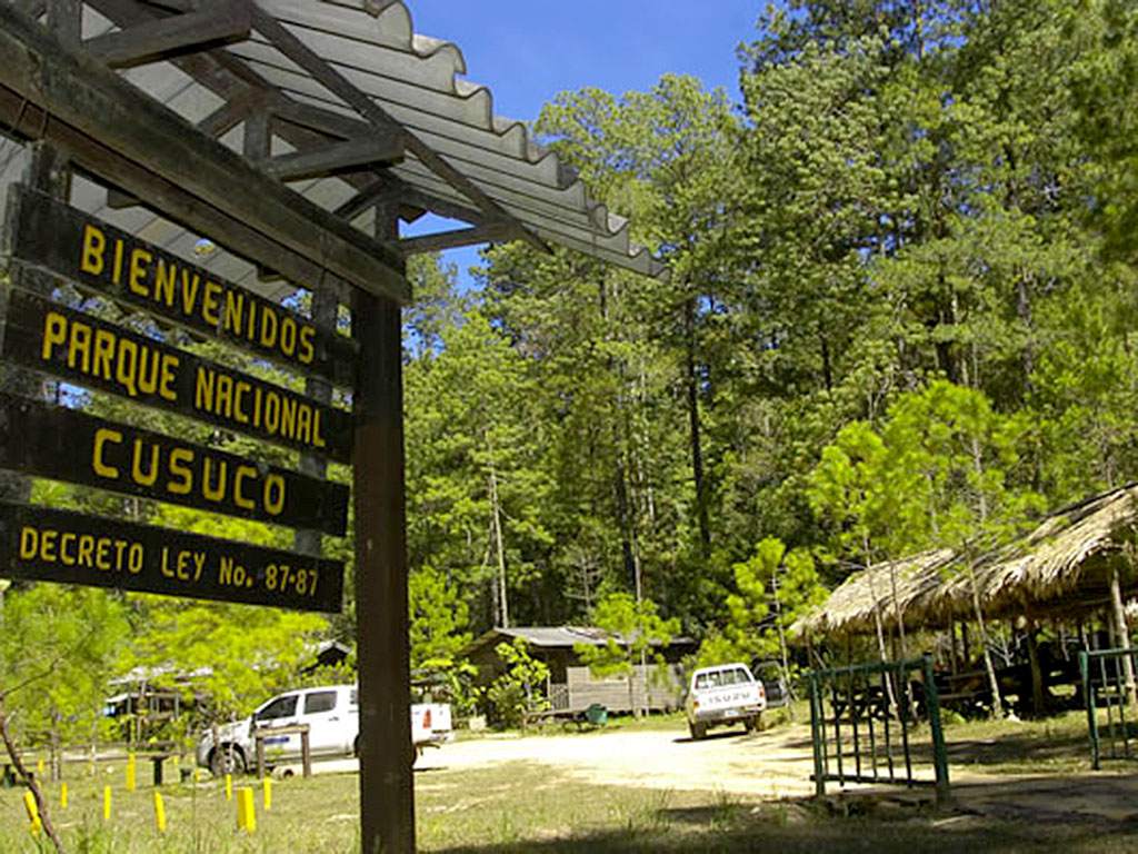 Parque Nacional Cusuco reabre sus puertas luego de dos años