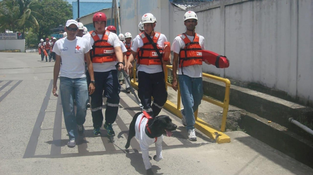 «Bono», el perro rescatista de la Cruz Roja Hondureña