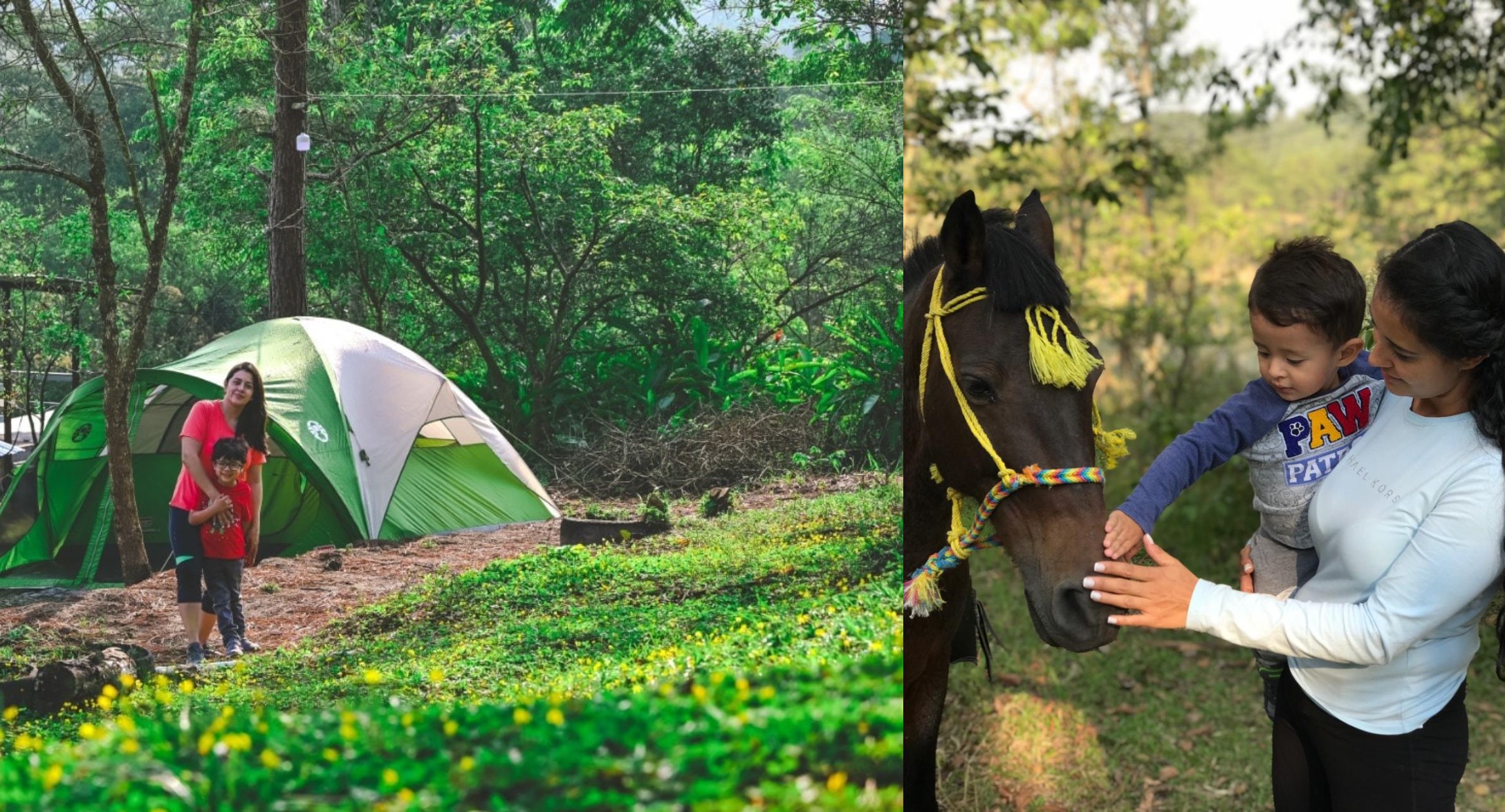 Finca Integral El Manzanal, un lugar familiar para hacer actividades ecoturísticas