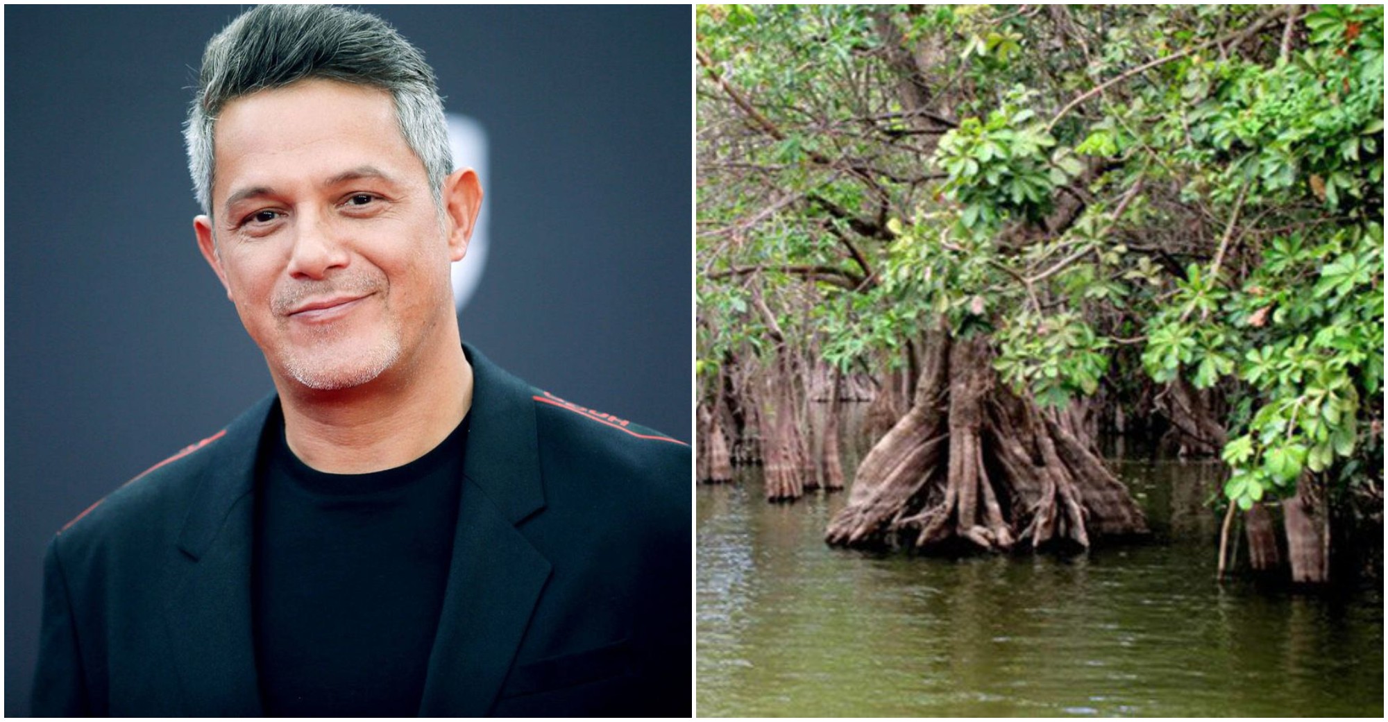 Alejandro Sanz apoyará la reforestación de Manglares en Honduras