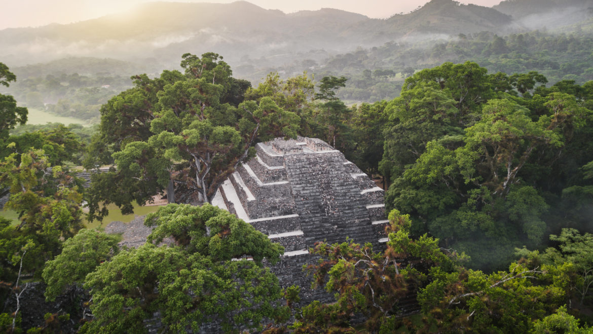Museo de Arte de Nueva York expondrá sobre dioses mayas de Honduras