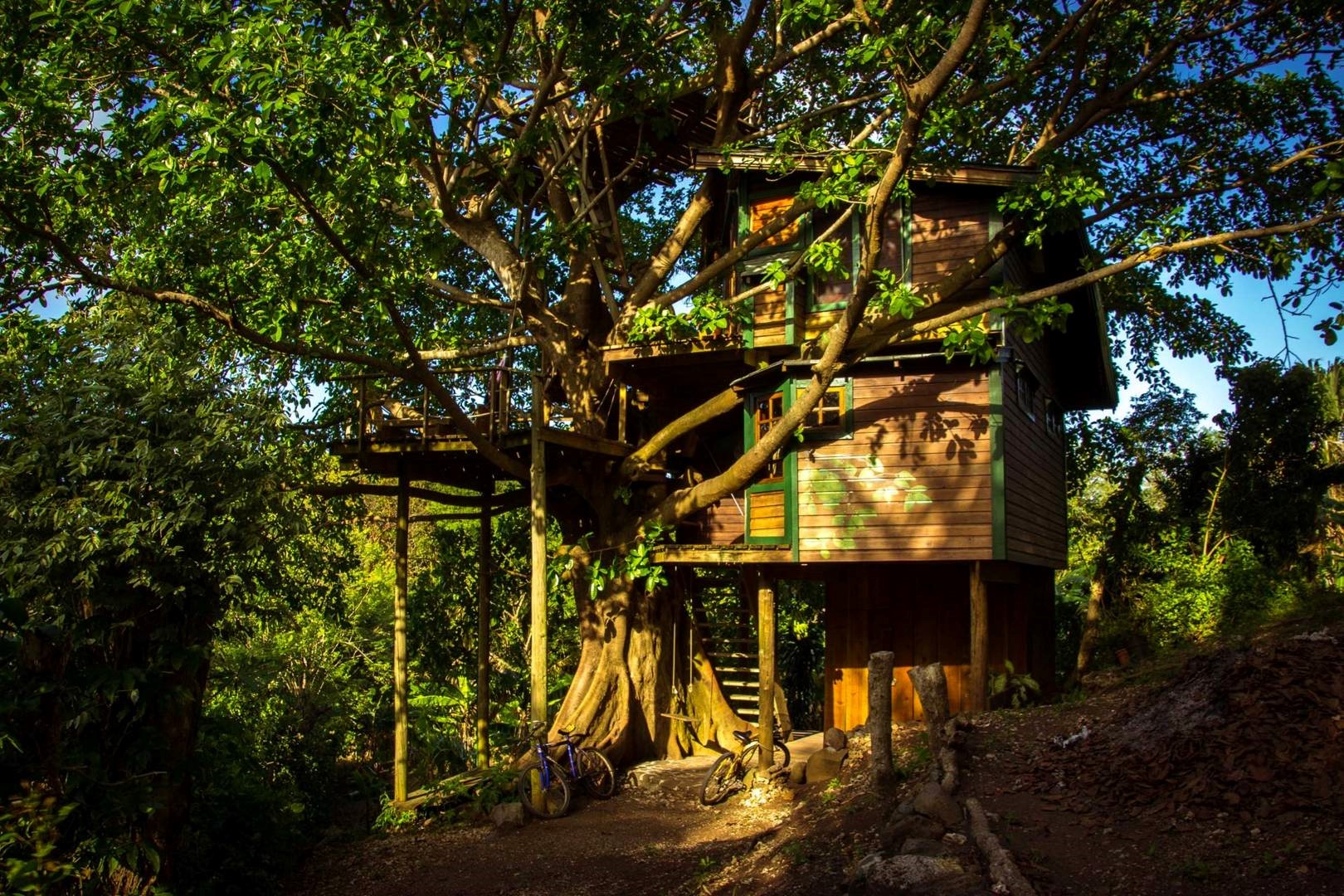 Casa de Árbol, un innovador hospedaje en Útila