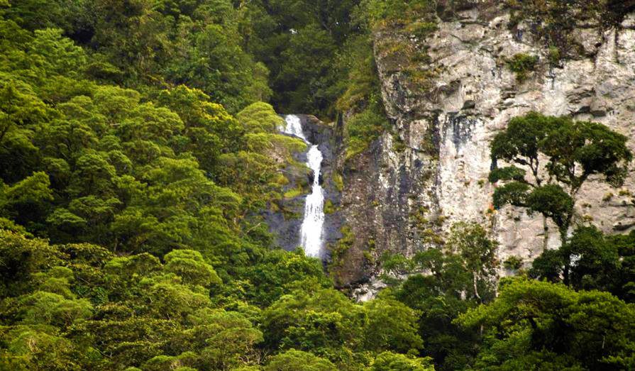 Reserva Biológica Monserat, un tesoro del departamento de El Paraíso