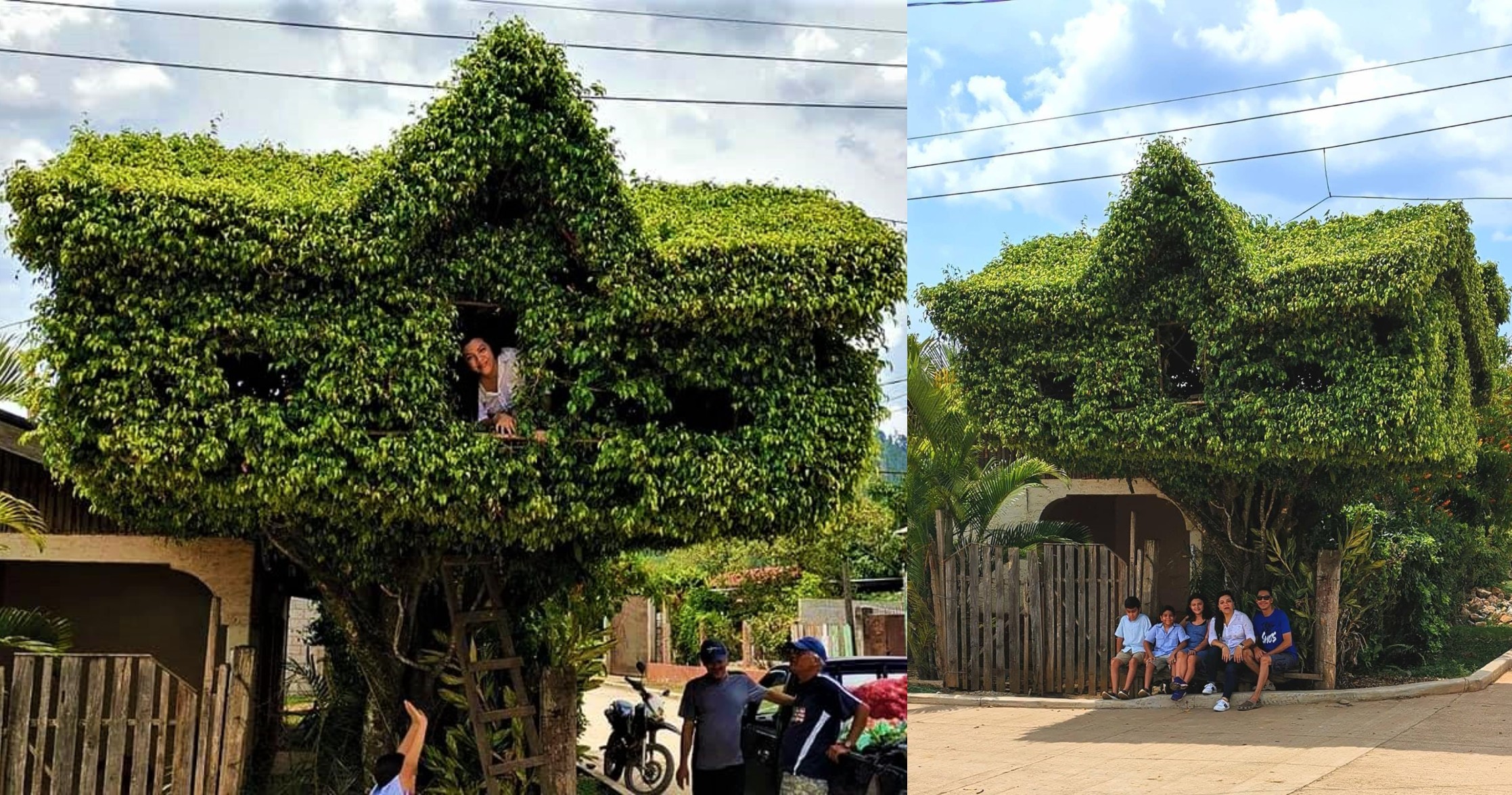 Casa de árbol en el municipio de Jocón, Yoro