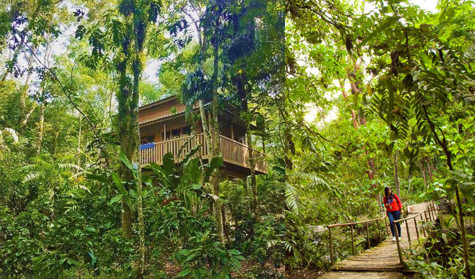 Bioparque Paradise, un destino para escaparse entre la naturaleza