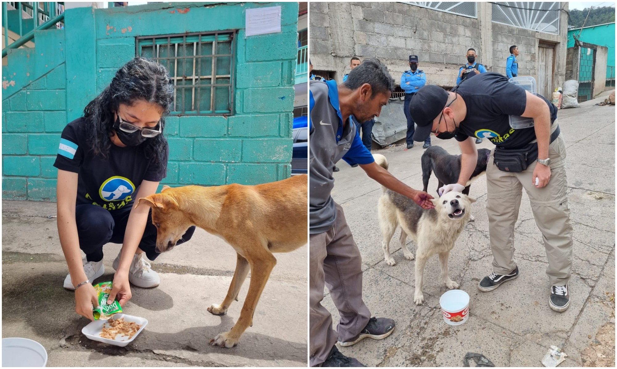 Patitas UNAH lleva medicinas animales en situación de albergue