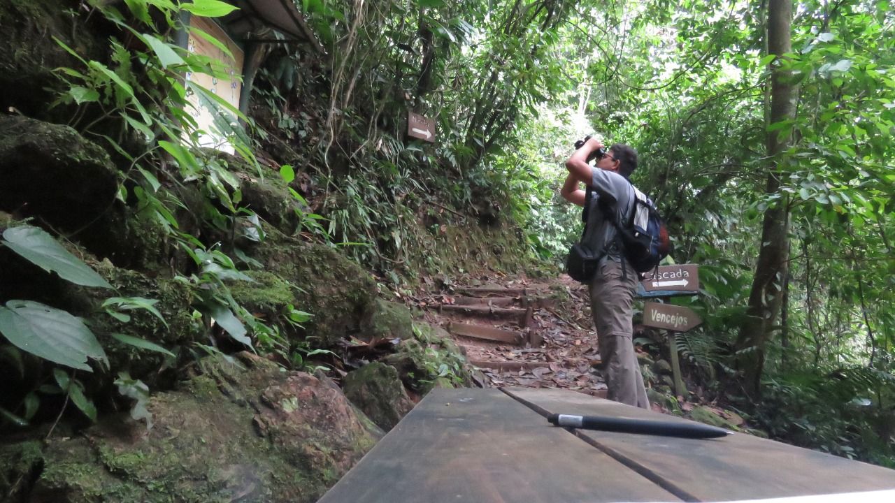 Inscríbete en el Festival de Aves Copán Ruinas 2022