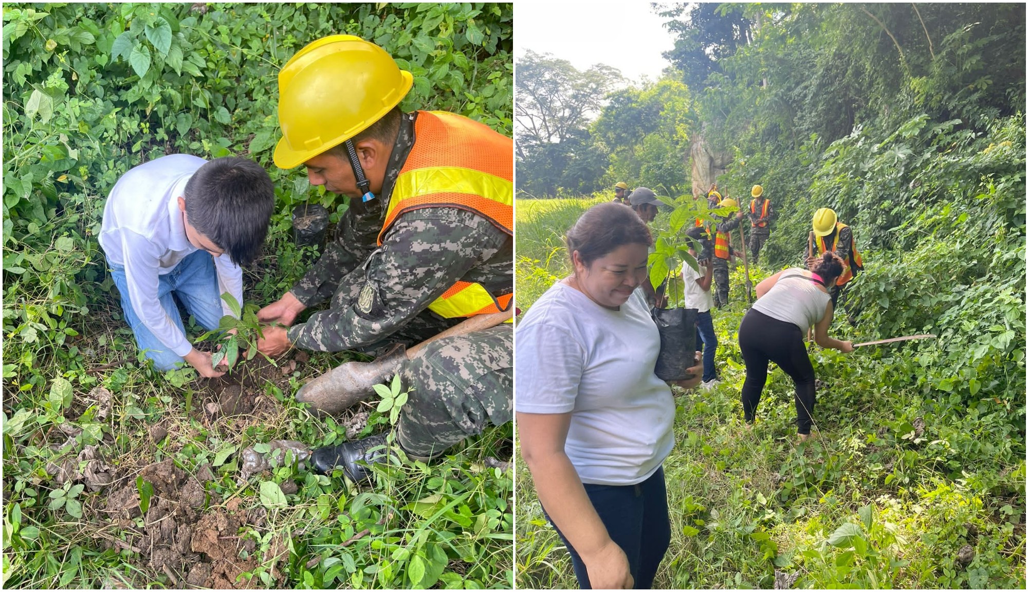 Fuerzas Armadas de Honduras realizan trabajos de reforestación