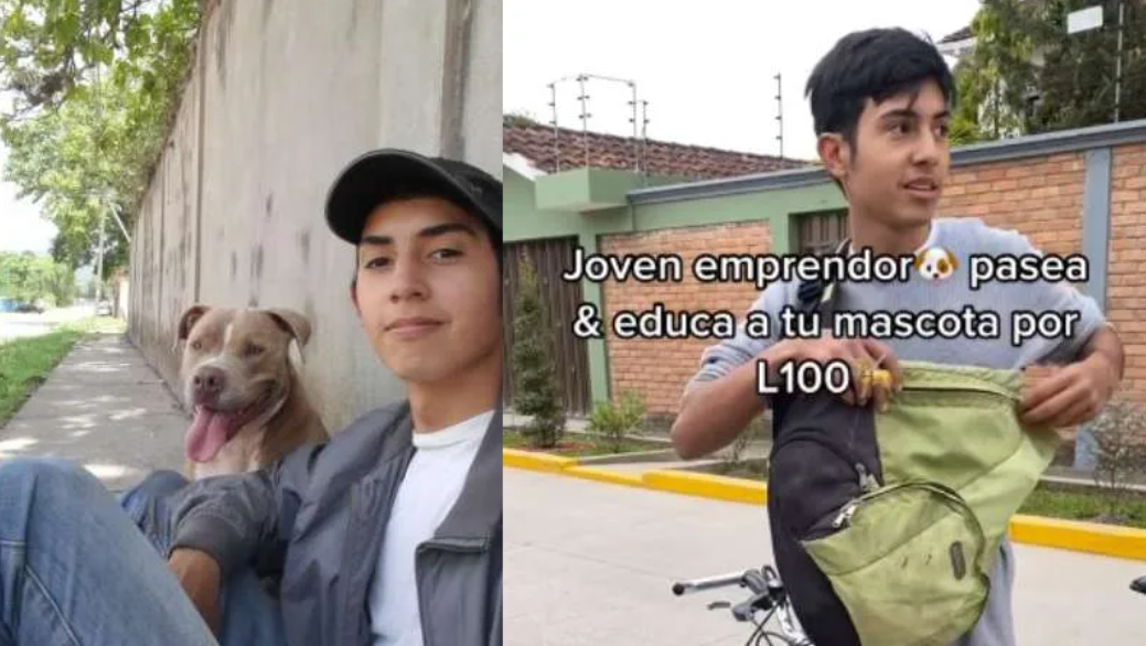 Hondureño pasea y educa perros por solo 100 Lempiras en Siguatepeque