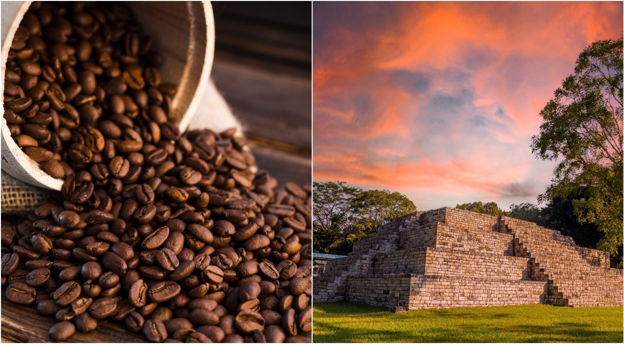 Copán Ruinas será sede de Let’s Talk Coffee Honduras 2023