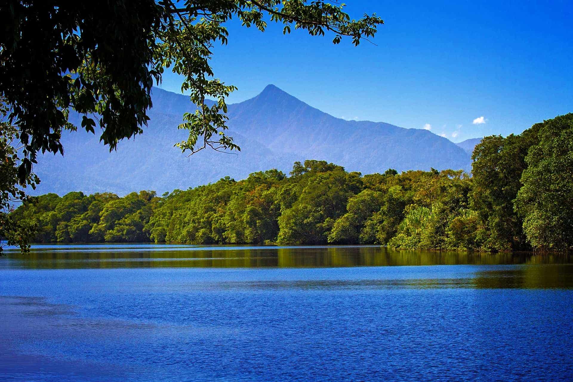 Día Mundial de los Humedales