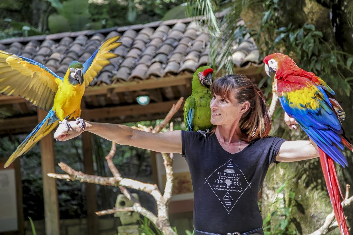 Celebra el Día del Cariño con la promoción de Macaw Mountain Bird Park