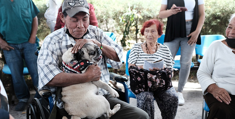Hospital San Felipe incorpora Programa de Asistencia con Animales
