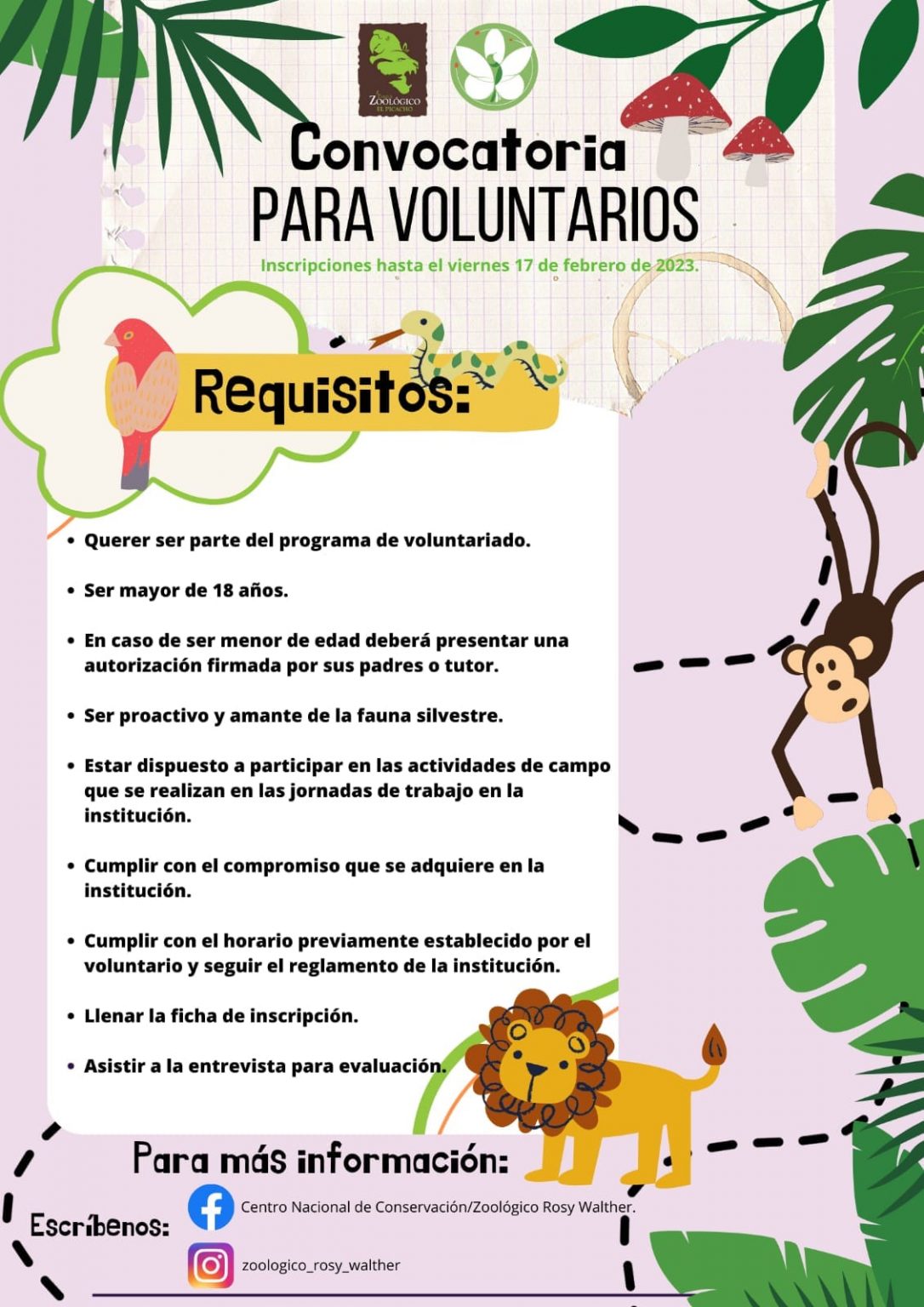 Zoológico Rosy Walther abre convocatoria para voluntariado en Honduras