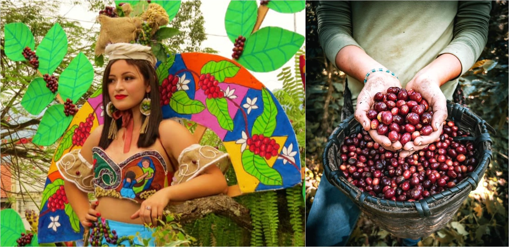 Festival del Café en Santa Bárbara