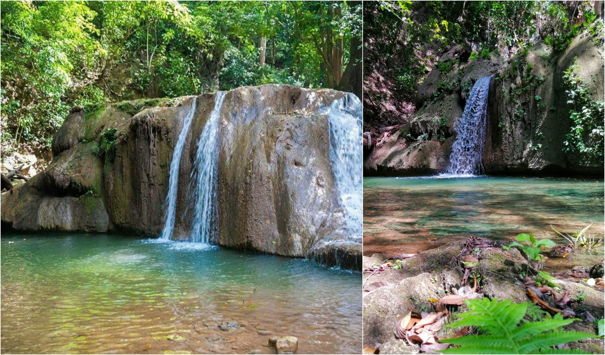 Poza Verde, una joya por explorar en Gualala