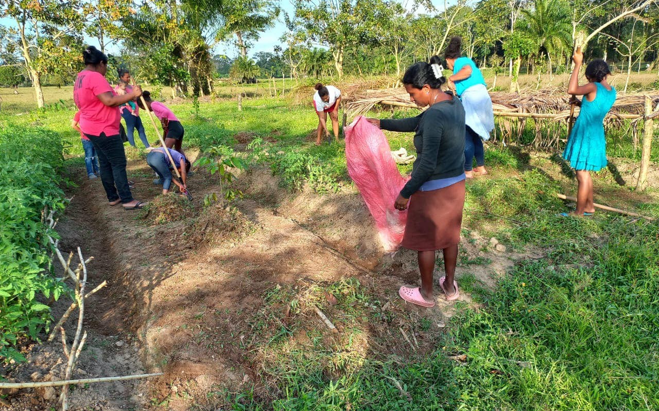 Hondureñas aprenden a hacer su propio huerto ecológico