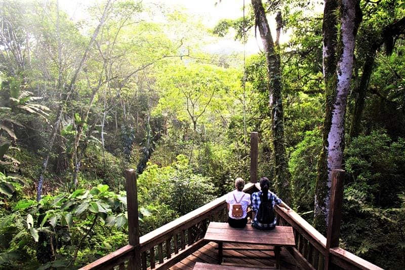 Finca Santa Isabel, una aventura entre la naturaleza y el café