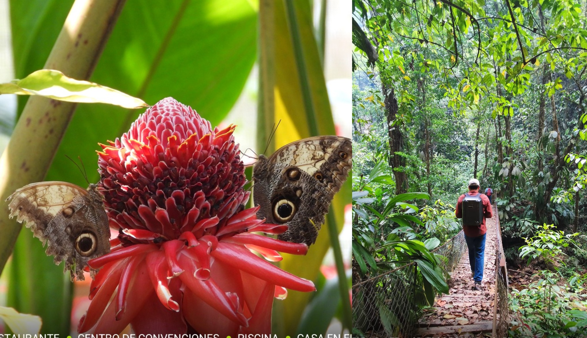 Mariposario del Centro Turístico La Naturaleza en el Lago de Yojoa