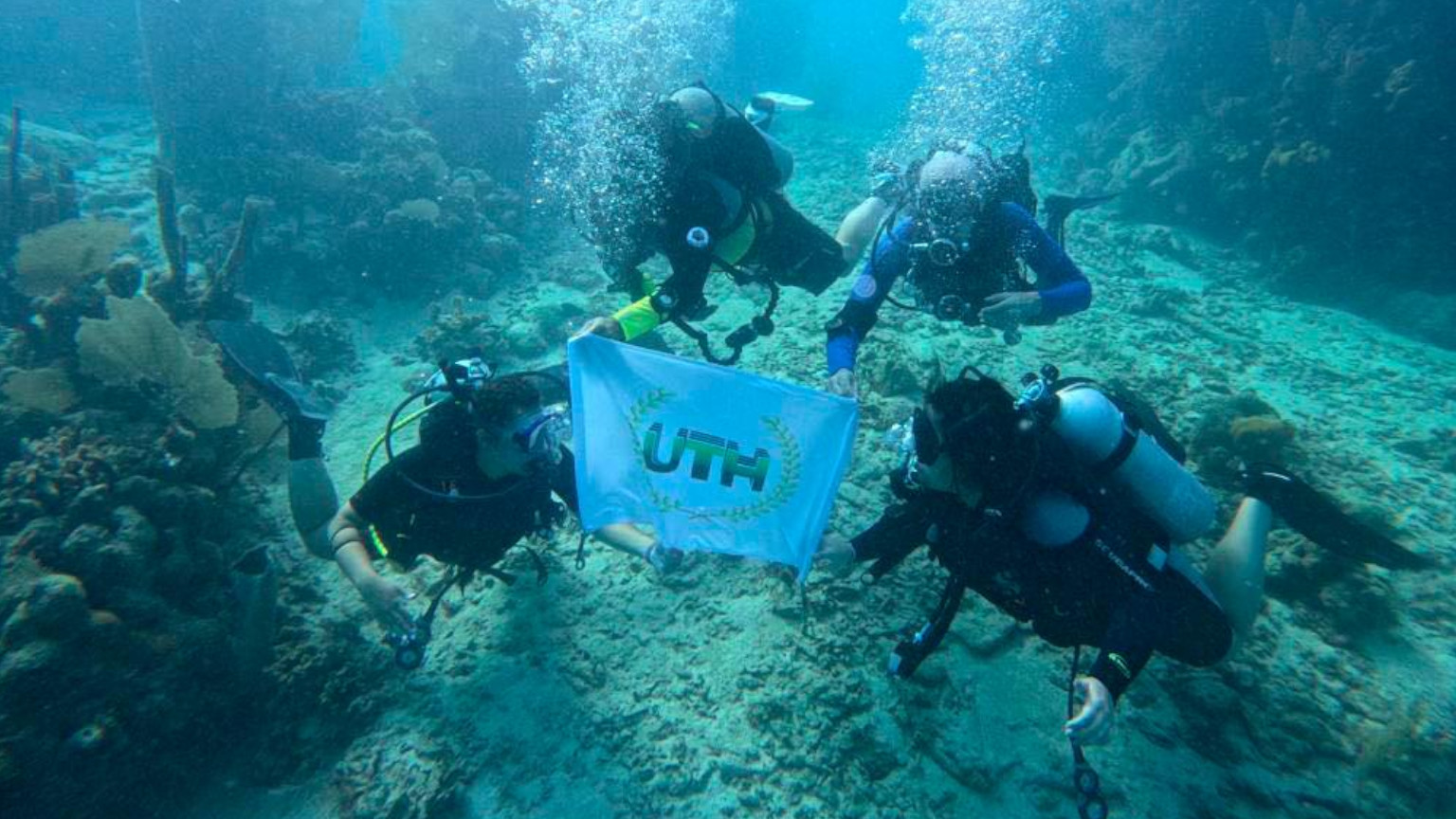 La UTH con la Universidad de Córdoba impartirán curso de buceo científico