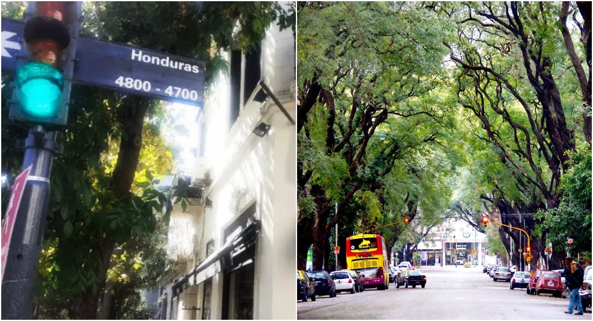 Conoce «La Calle Honduras» una de las más famosas de Argentina