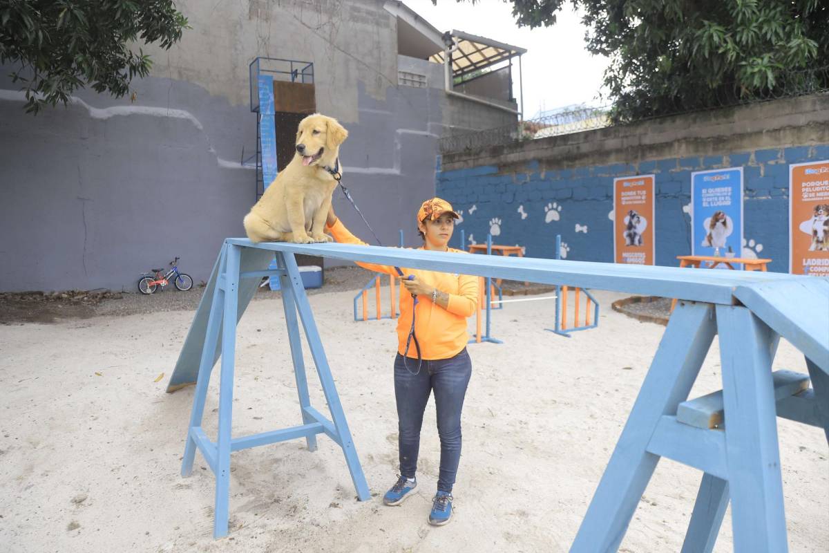 Abrieron el primer parque para perros en San Pedro Sula