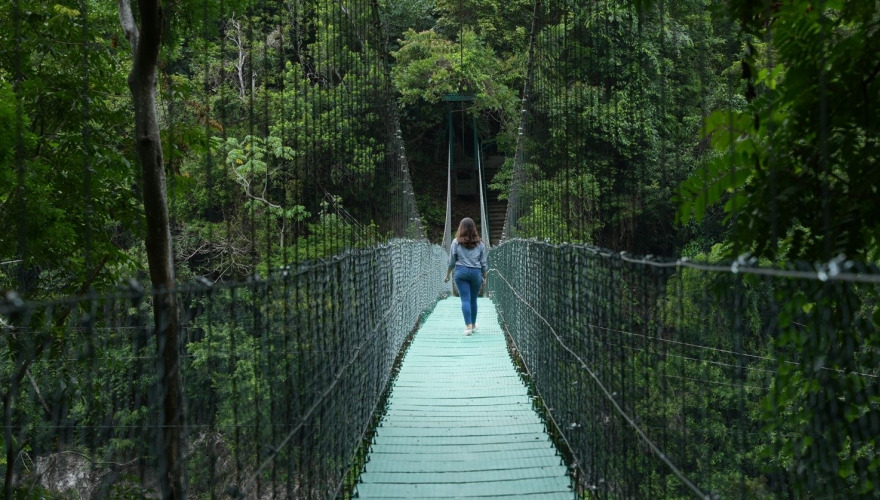 Recorre Pico Bonito y el Río Cangrejal desde el renovado puente colgante