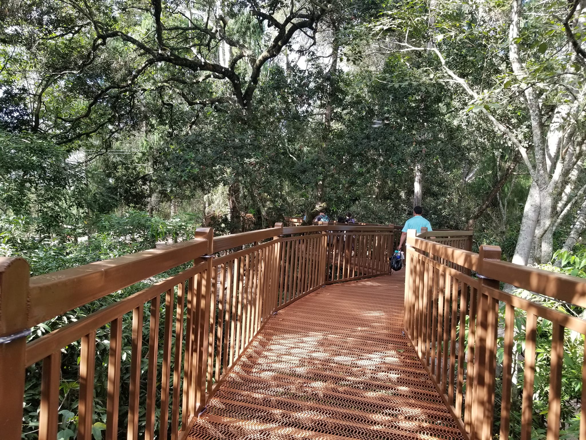 Puente de Altura en el Parque El Picacho