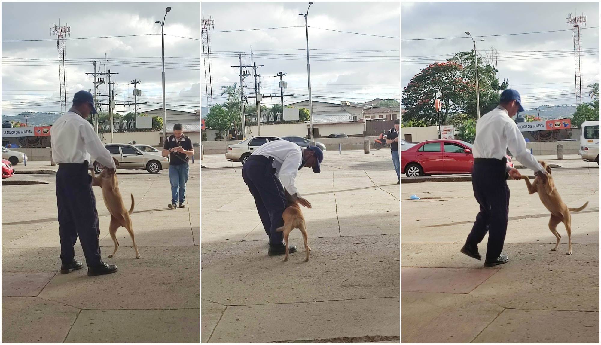 Guardia de la UNAH enternece al bailar con un perrito