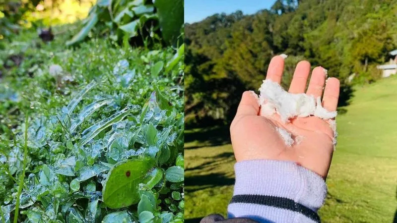 El Pital: el curioso destino donde cae nieve en Honduras