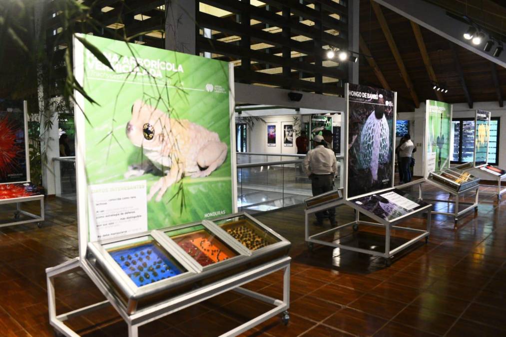 Reapertura del Centro de Visitantes del Jardín Botánico Lancetilla