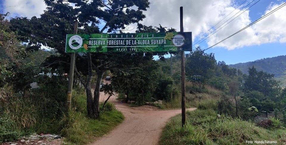 Declaran Área Forestal Protegida la Cuenca de la Aldea Suyapa