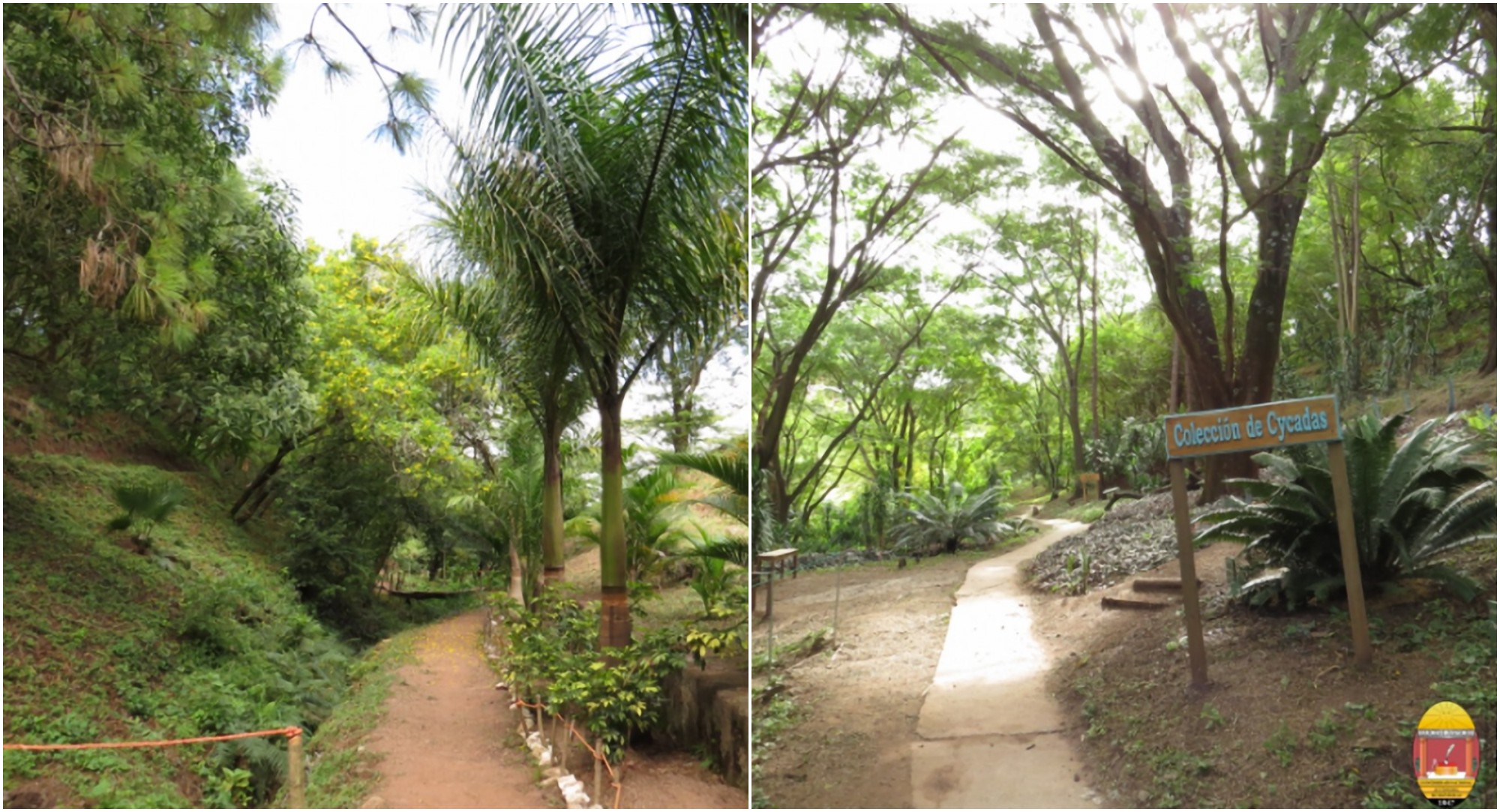 Jardín Botánico de la UNAH abrirá los fines de semana para los hondureños