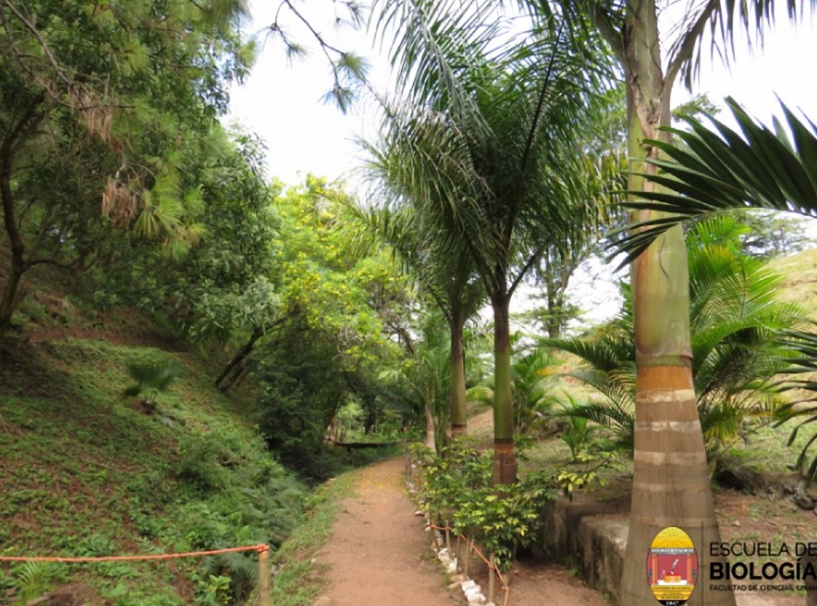 Jardín Botánico de la UNAH abrirá los fines de semana para los hondureños