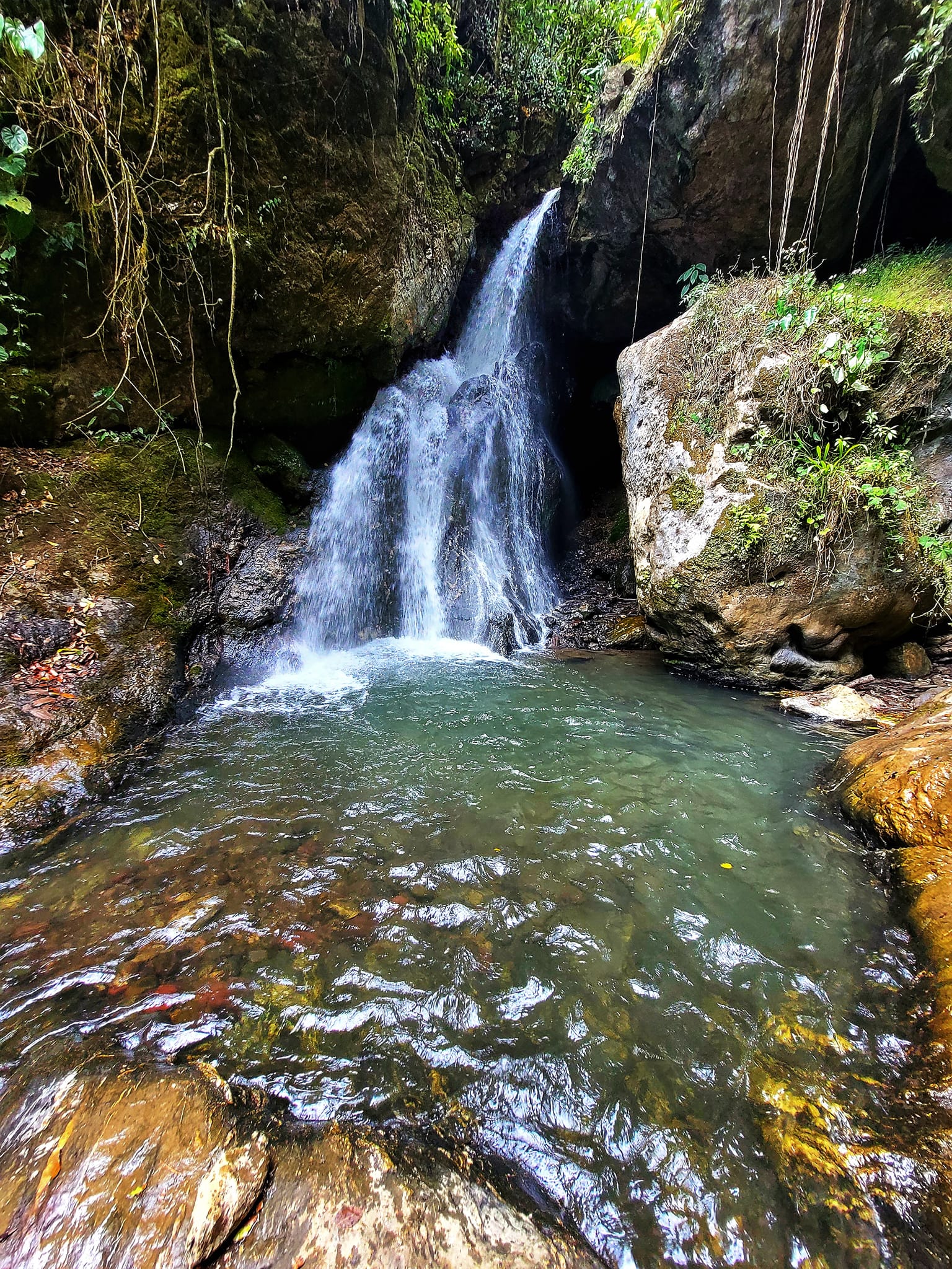 Aventura en el Parque Nacional Sierra de Agalta