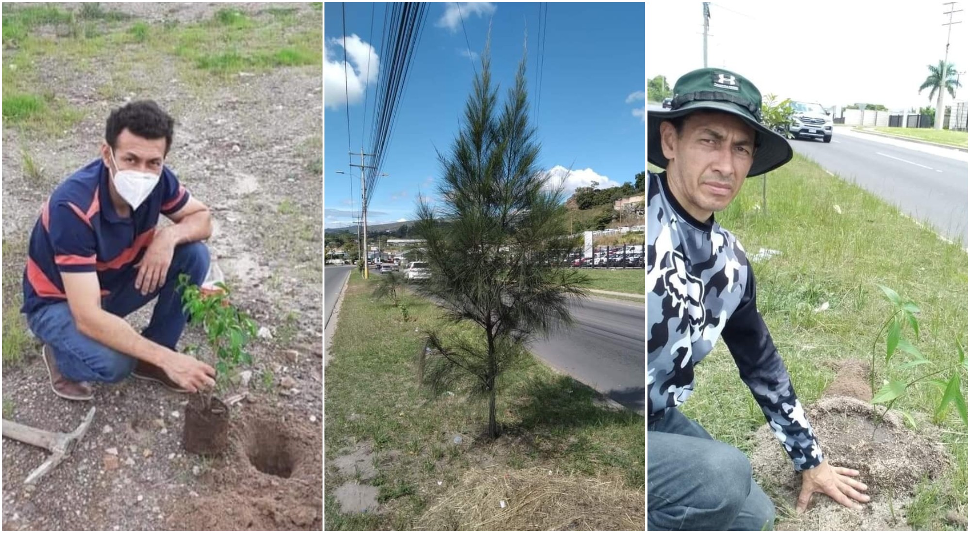 Hondureño ha plantado 300 árboles en Tegucigalpa