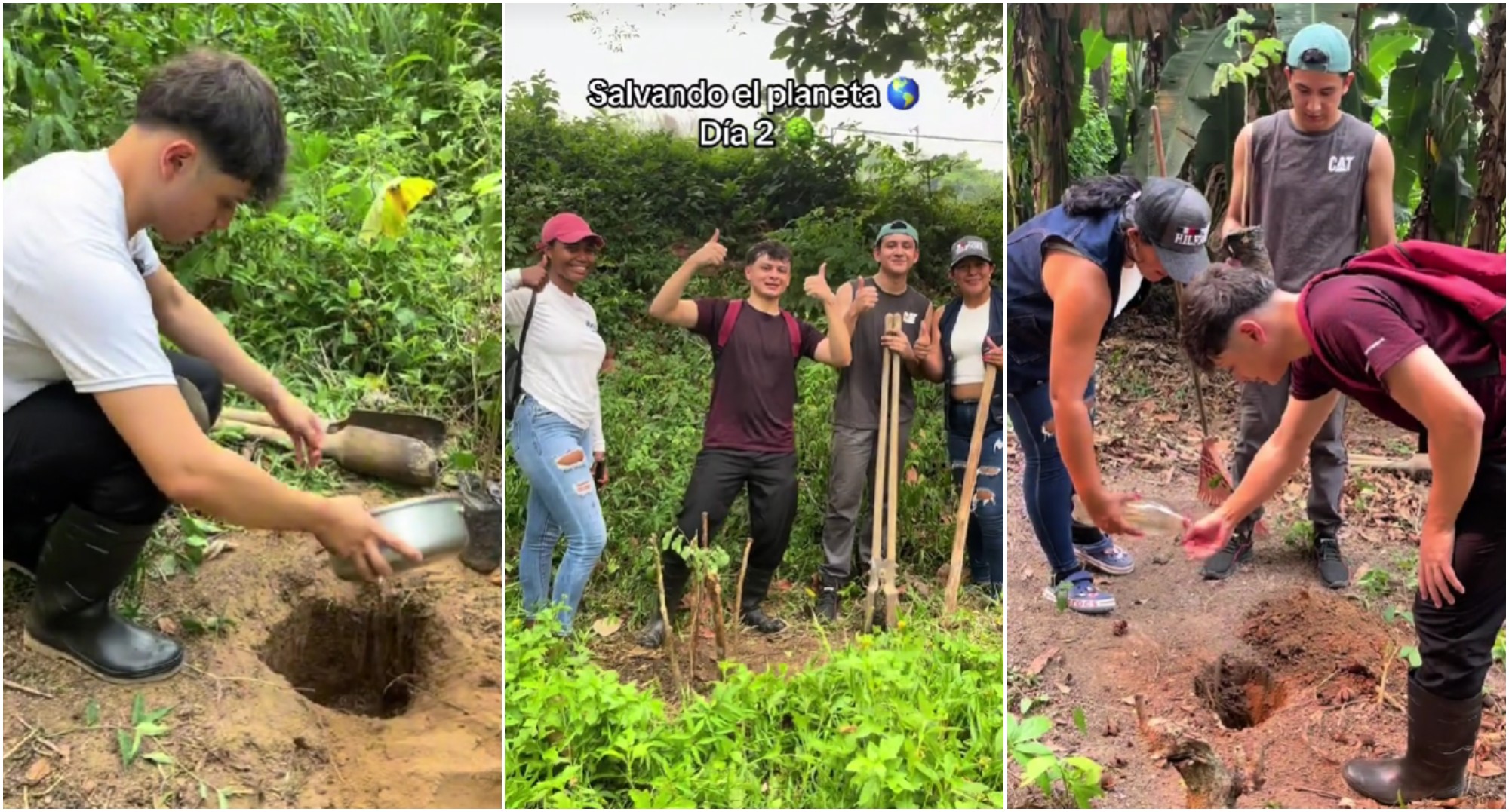 TikToker hondureño crea campaña para plantar árboles en Honduras