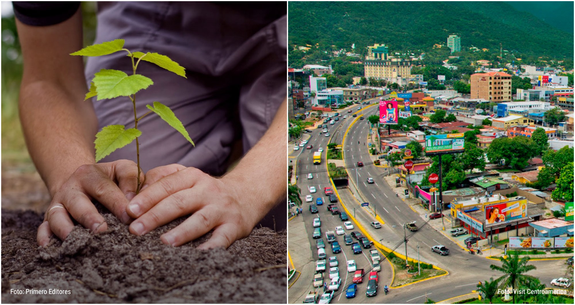 Hondureños se unen para reforestar San Pedro Sula