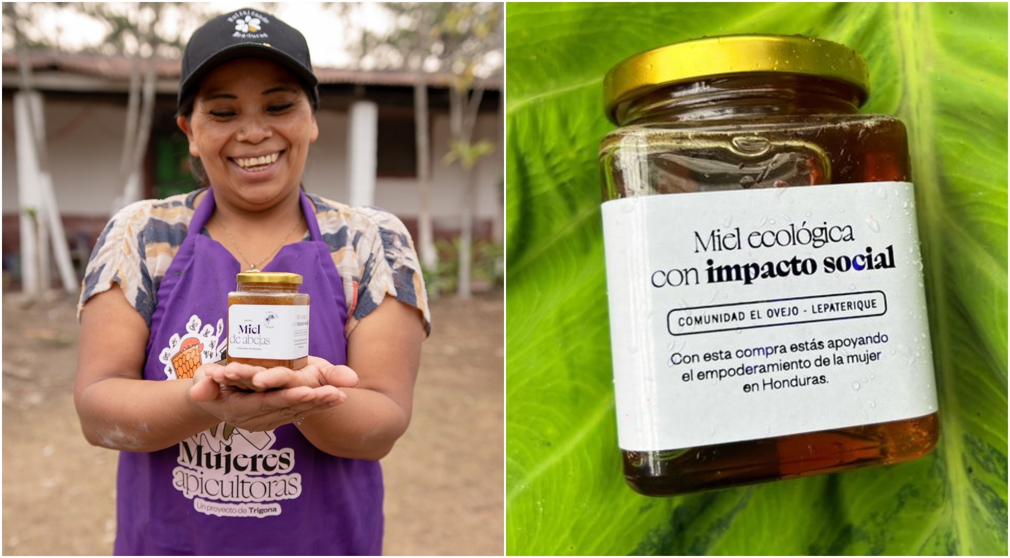 Miel Hondureña «Trigona» ganó el Market Shapers