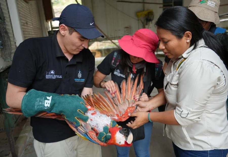 ICF recupera a 185 animales del Zoológico Joya Grande
