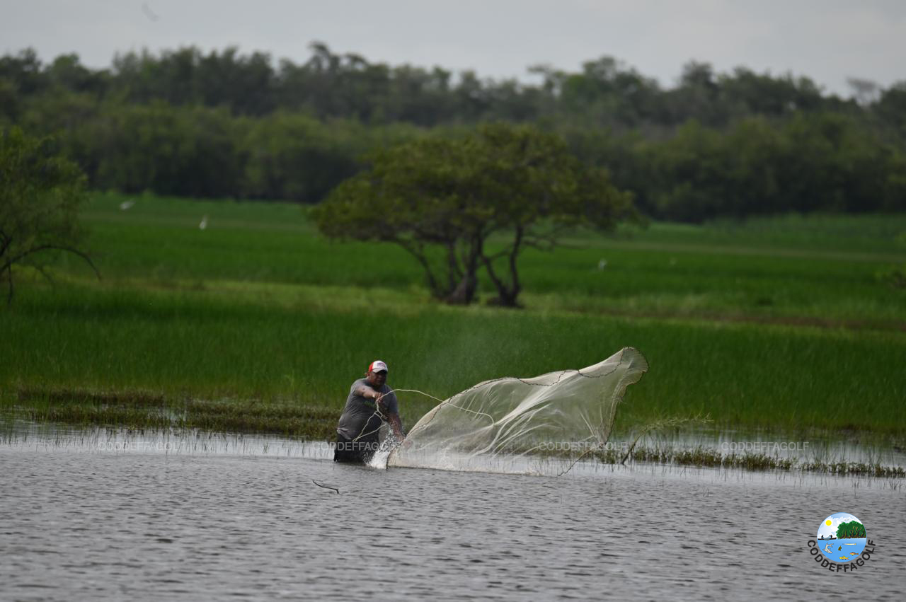 Laguna invernal «El Jicarito», refugio de vida silvestre