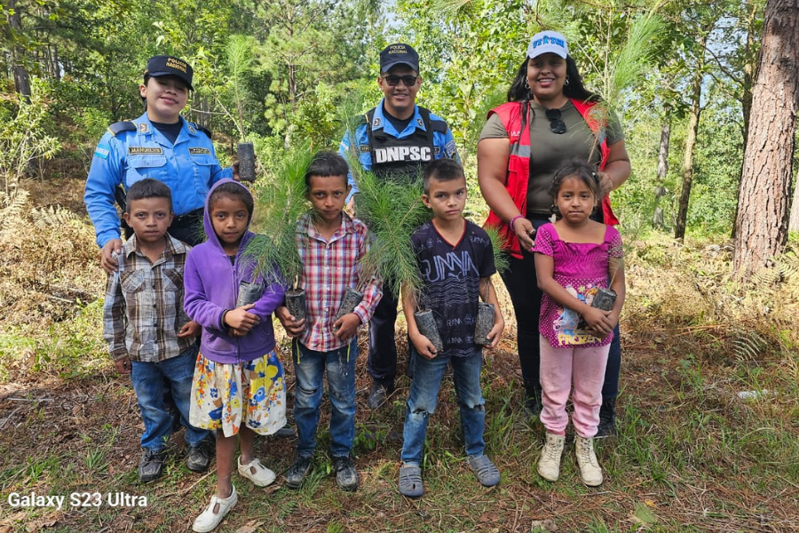 La Paz siembra más de 600 árboles en jornada por el medio ambiente
