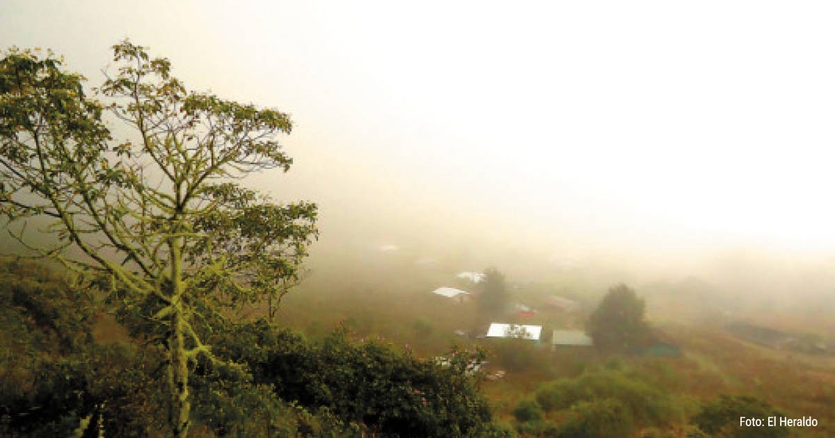 Reserva Biológica de Guajiquiro, un vasto bosque nublado en Honduras