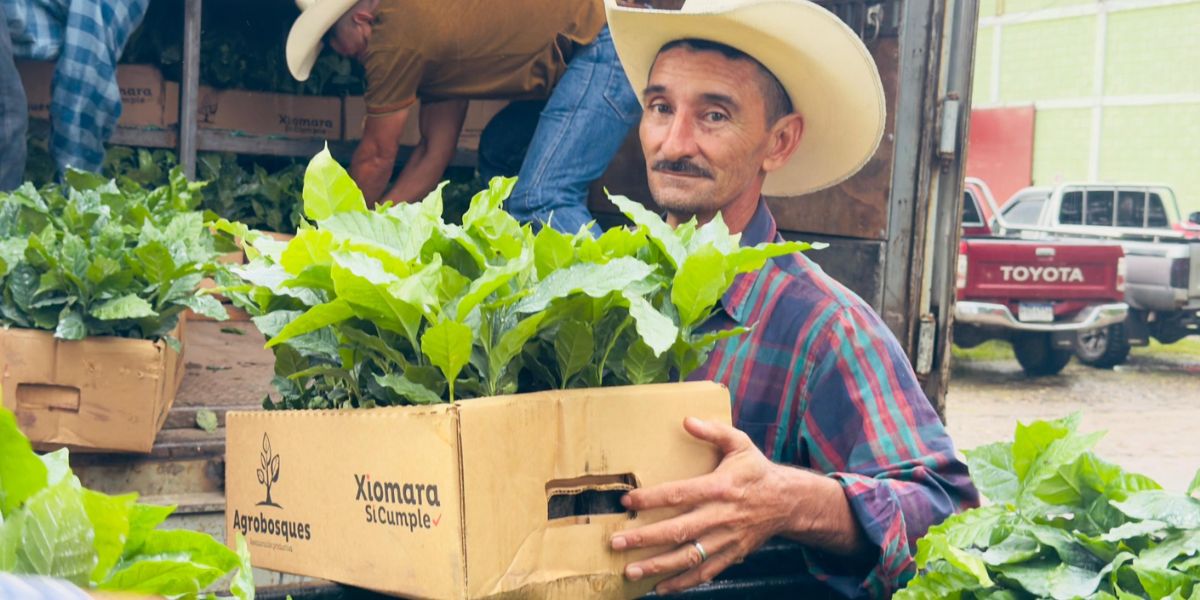 Entrega de 30,000 plantas a pequeños agricultores en Copán