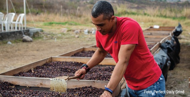 Honduras rompe récord en exportaciones de café con más de $2 mil millones