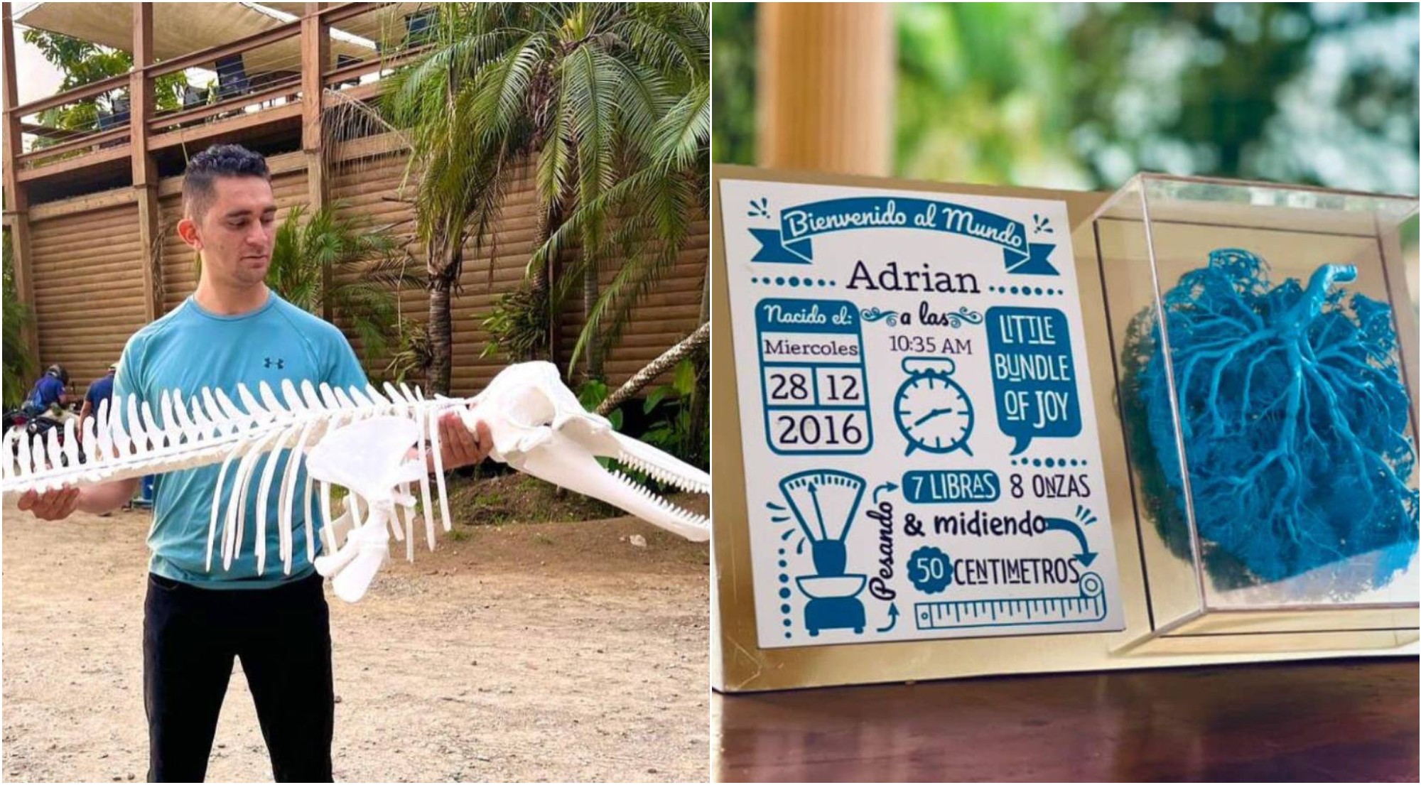 Científico y artista hondureño utiliza placentas y huesos para crear arte
